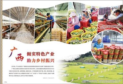 廣西 做實特色產業，激發農產品生產活力，助推鄉村振興